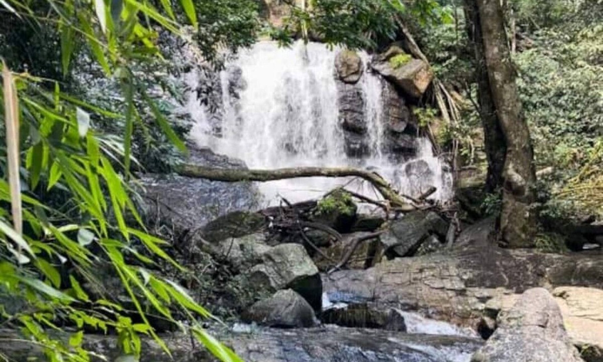 Kudrasthe House | A private waterfall, a coffee farm and best home food in Coorg - all to yourself