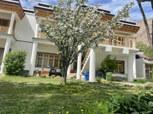 Hundur House | Baltipa Homestay