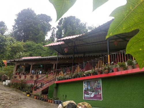 Kumai House | Bamboo Queen Homestay Rongo