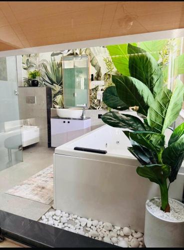 Indore Bed & Breakfast | Berlin Penthouse with Jacuzzi by Staymoodyy