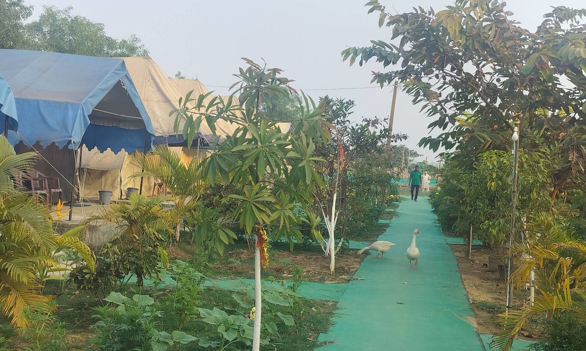 Kendrapara Hotel | Bhitarkanika Eco Resorts