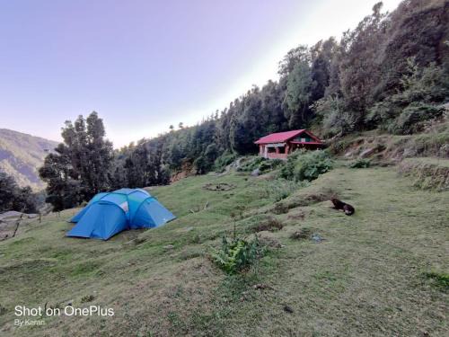 Dharamshala Other | Cafe Himalayan Musaafir & Campsite Kareri