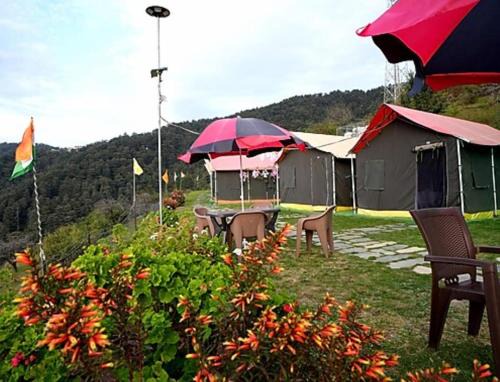Chail Other | Camping in Chail