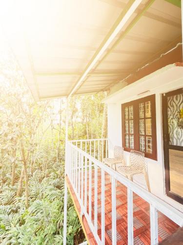 Nullatanni House | Cloud Leaf Budget Villa Munnar