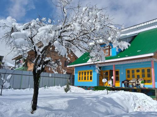 Srinagar House | Conifer view guest house