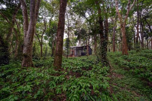 Siddapura House | Cove by Raho - Nestled Away Retreat