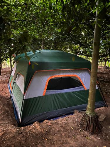 Irinjalakuda Other | Dragster Tents