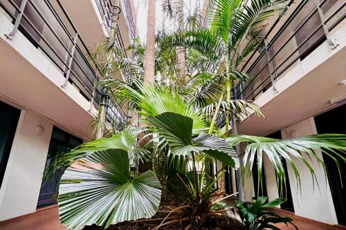 Elizabeth Bay Apartment | Elizabeth Bay Studio Near CBD & Kings Cross Sydney BEST LOCATION