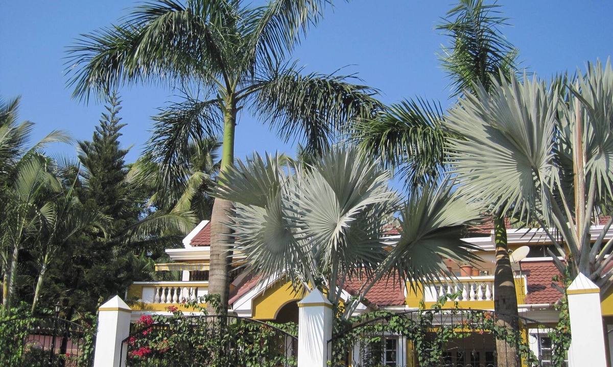 Fatona House | Experience the revitalizing Goa - Boutique Villa 600 m from the beach