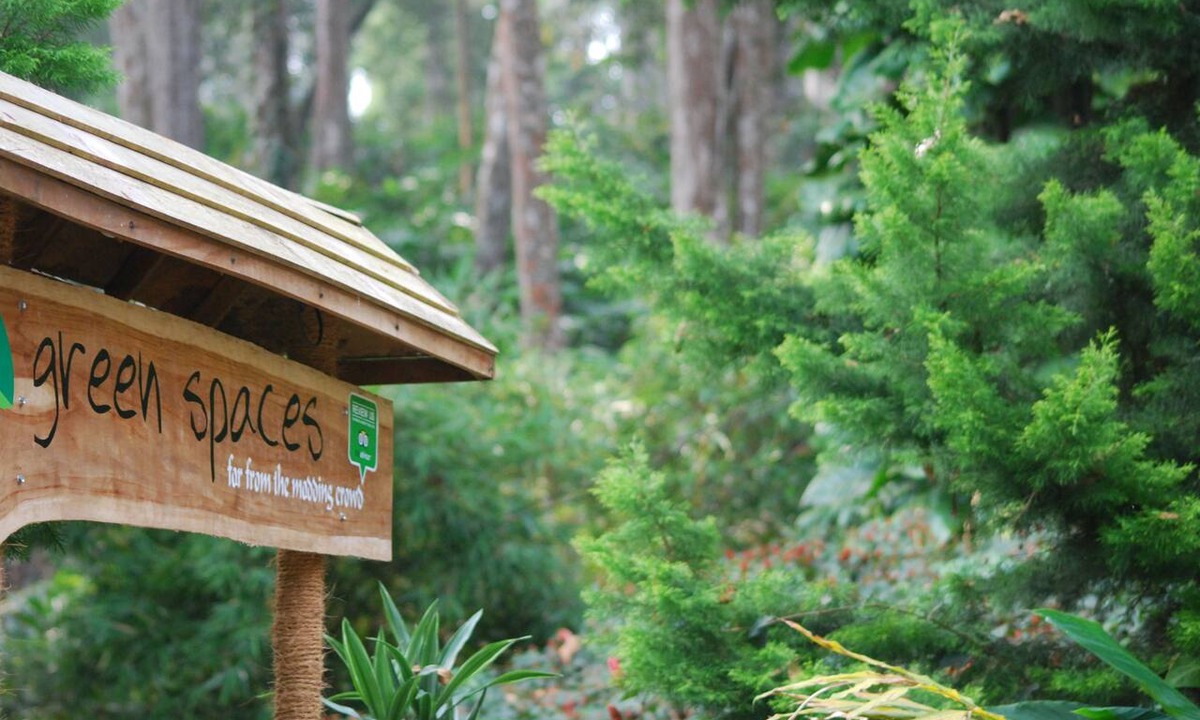 Moolakadai Bed & Breakfast | Green Spaces Munnar