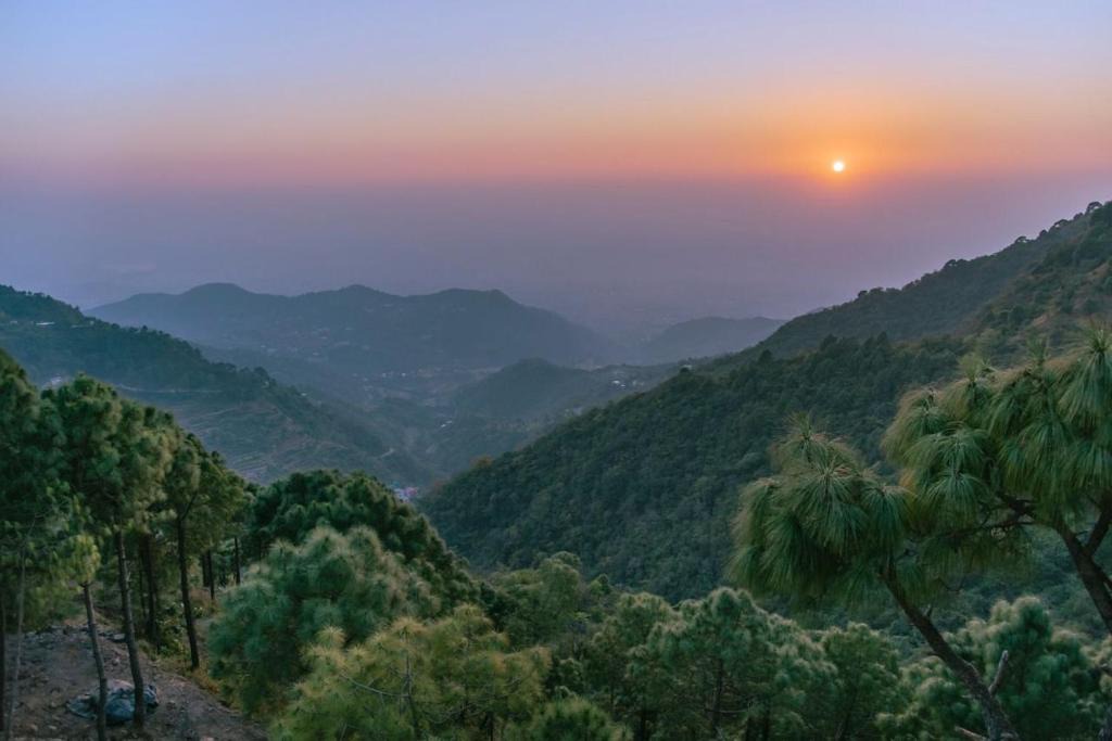 Kasauli Apartment | Grotto Peace Kasauli