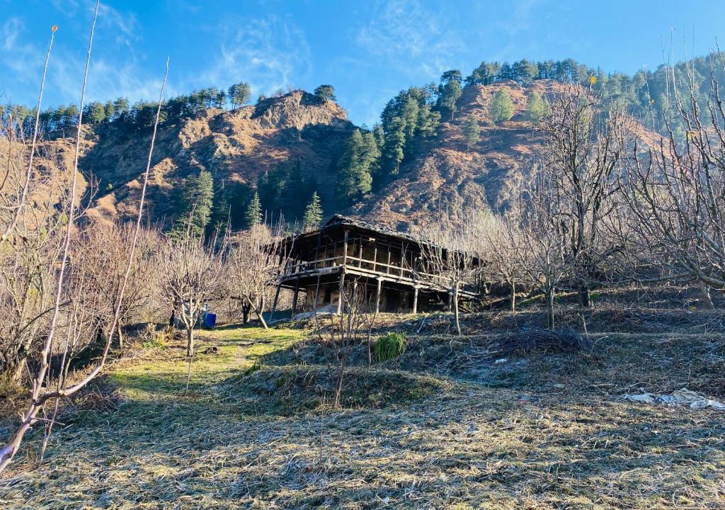 Kullu House | Hippies farmhouse