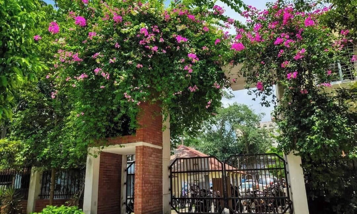 Chittagong Division Hotel | Hotel Hilsha City Chandpur