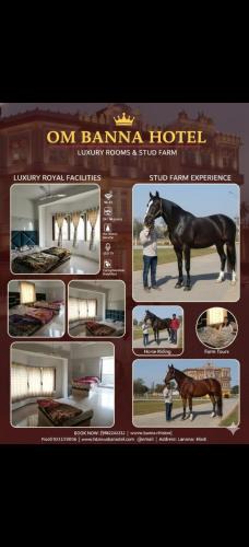 Bhadesar Hotel | Hotel om banna