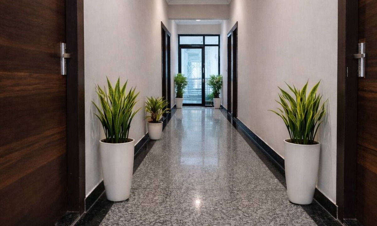 Noida Hotel | Hotel Stayzzy Bloom