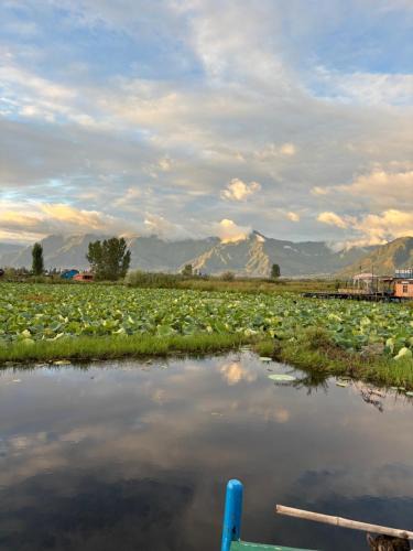 Dal Lake Hotel | Houseboat Jupiter