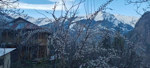 Manali House | Ikigai homestay