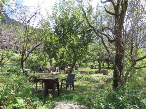 Jibhi Hotel | Jibhi Garden Heritage Home Stay