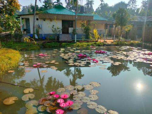 Sreemangal Upazila Bed & Breakfast | Jolpoddo Retreat