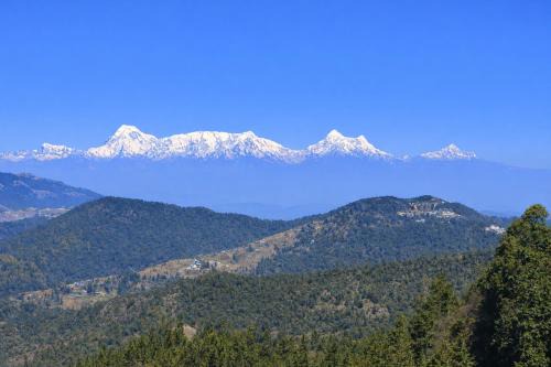 Kaul House | Kafal Pako Resort - Himalayan View Resort In Mukteshwar