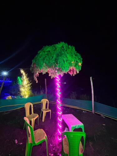 Gulmarg Other | Kishan Ganga Camping Site