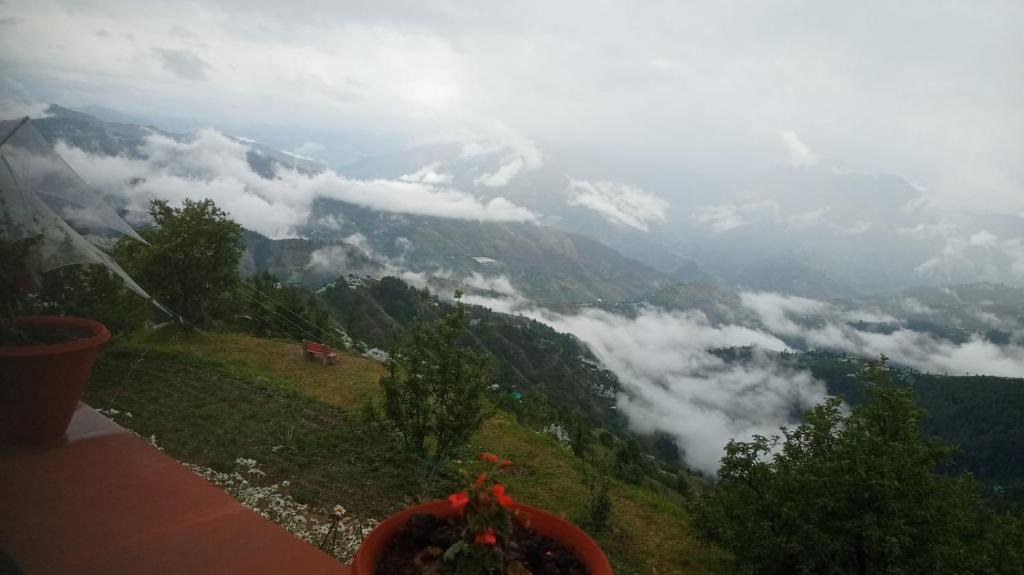 Fagu Bed & Breakfast | Kishore Vatika B&B Homestay