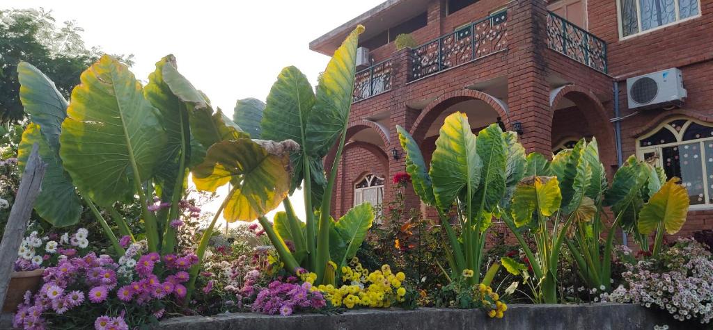 Khajuraho Bed & Breakfast | lalita homestay countryside