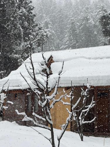 Kullu House | Mansa Homestay