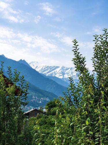 Jagatsukh House | Meltwood Stays Manali