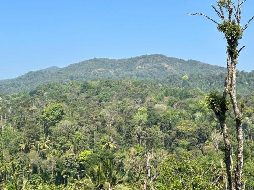Hoskeri House | new shivalaya homestay