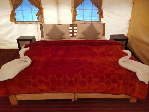 Hunder Other | Northern Valley Camp - Nubra