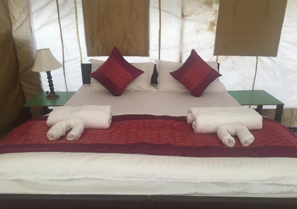 Nubra Valley Other | Paramount Camp