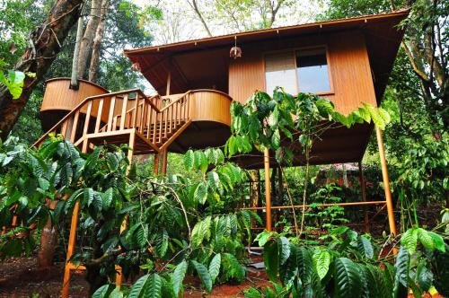 Kalpetta Resort | Planet Green Plantation Resorts, Wayanad, Kerala