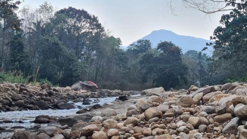 Ponmundi House | PONMUDI DALE. HOMESTAY