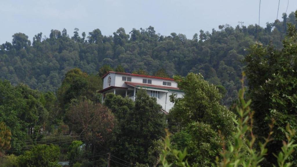 Old Manali Hotel | Qayamat- A Boutique Cottage, Manali