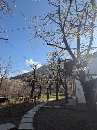 Old Manali Hostel | Raahi Roots
