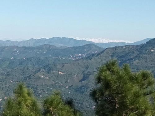 Shoghi Hotel | Raikot Resort