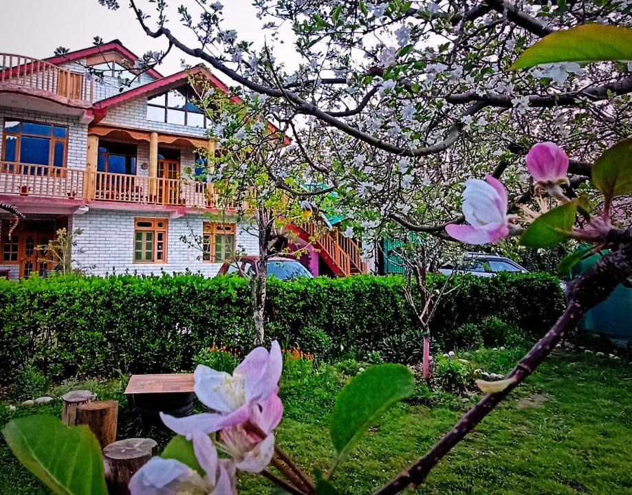Manali Villa | Rangri Homestay Manali