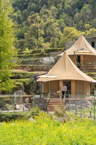 Dharamshala Resort | Saraaya Glamps, Dharamshala