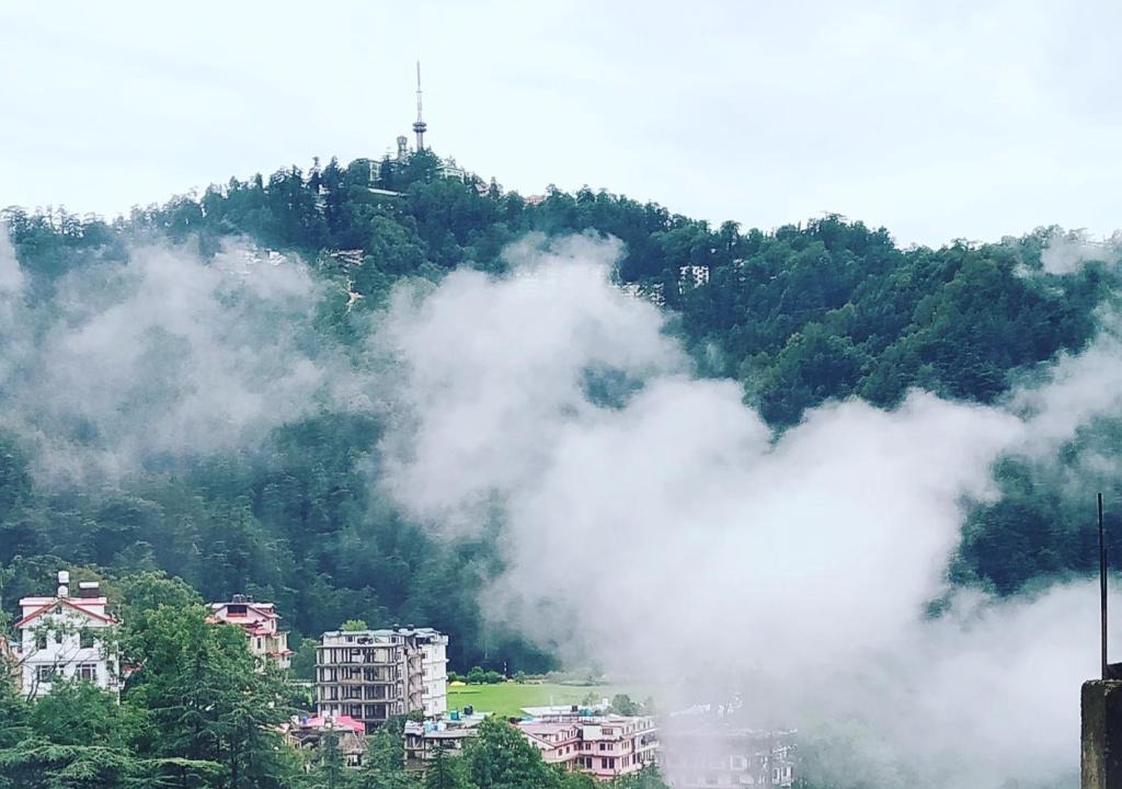 Shimla Bed & Breakfast | Shimla Pines Homestay