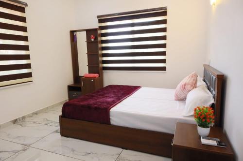 Aryad South House | Shining Star
