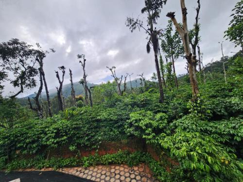 Samse House | Shrunga Shreni Homestay - Near Bandaje trek and falls
