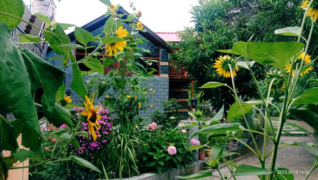 Naggar House | Soondhucottage&Homestay