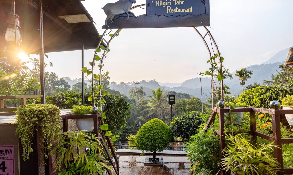 Devikolam Hotel | Star Emirates Luxury Resort and Spa, Munnar