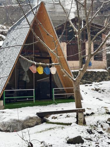 Ghiyagi Other | Sunshine Cafe & Cottage Riverside