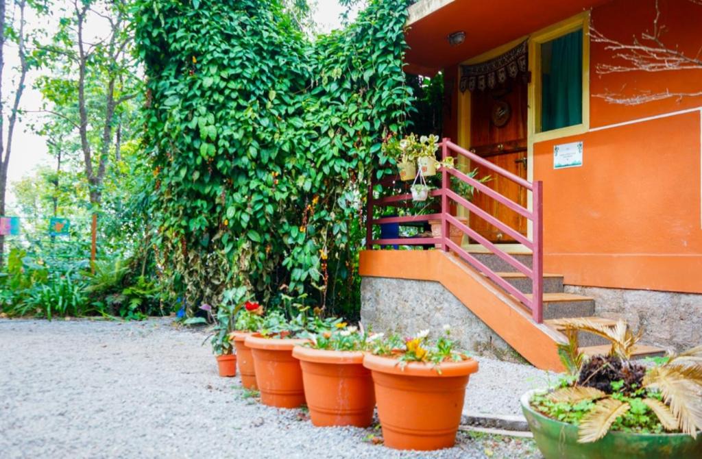Chikkamagaluru House | Tat Tvam Asi Organic Farm Stay - Robin