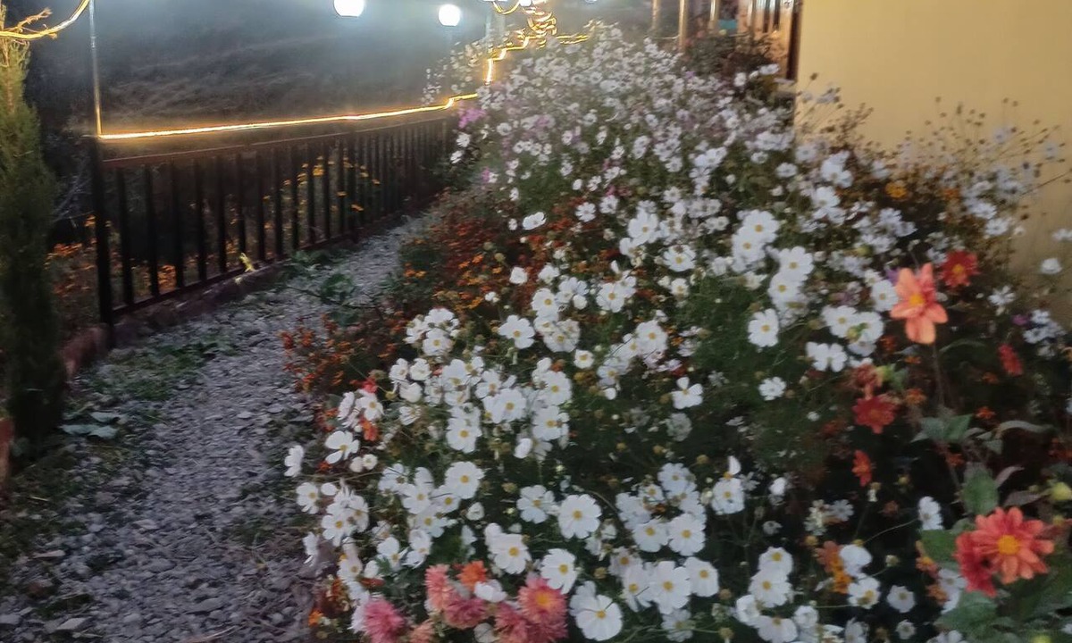 Kanatal Resort | The Gypsy Soul Resort Kanatal