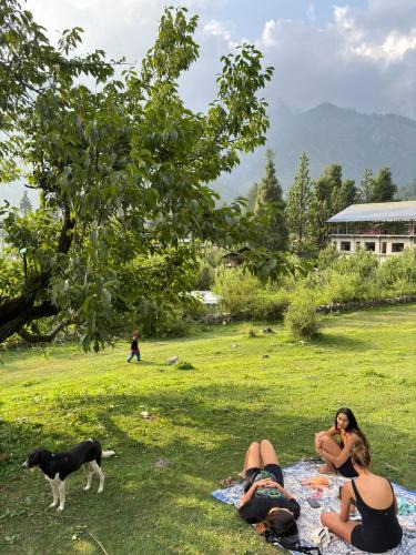 Kullu House | The Himalayan Cafe THC