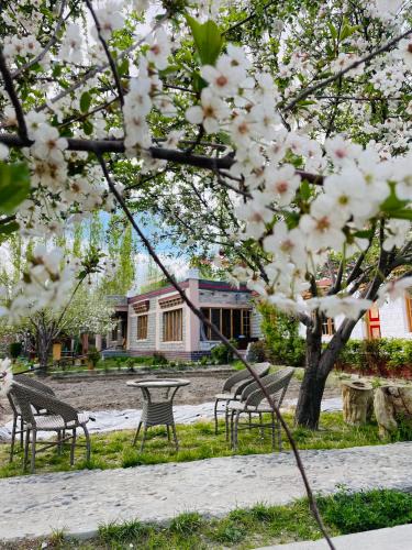 Nubra Valley Hotel | The Kesar Guest House Sumoor