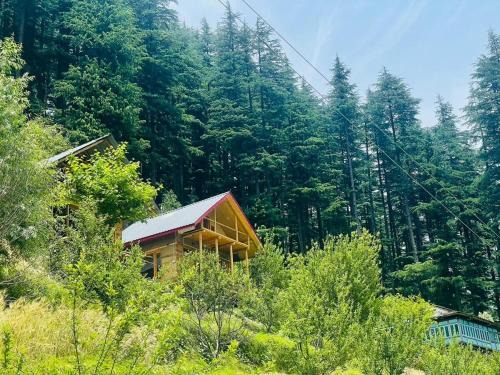 Banjar Ski Chalet | The Latoda Forest Edge